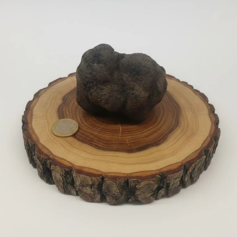 Oferta trufa negra 200gr