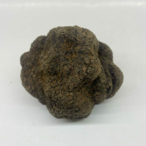 Trufa Negra Tuber Melanosporum (pieza de 115 gramos) [OFERTA]