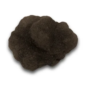 Trufa Negra Tuber Melanosporum (pieza de 160 gramos) SUPER OFERTA